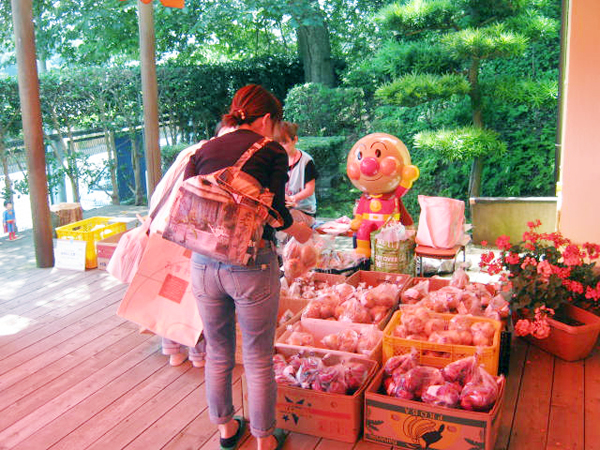 じゃがいも、玉ねぎ、キャベツなど新鮮なお野菜は今年も大人気でした。